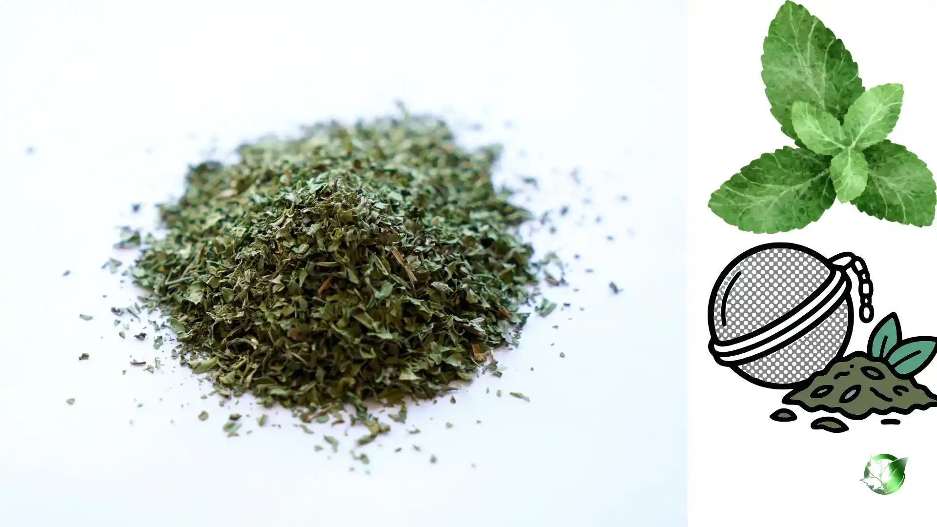 Supplier evaluation for Dried Mint should cover specification, packaging, supporting records, logistics, and true import cost.